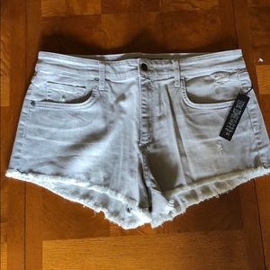 NWT Joe’s Shorts